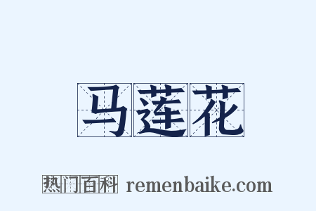 马莲花是什么意思的图片